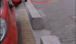 张家口头条最新爆料,重大事件背后真相揭晓！