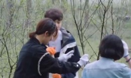 狗仔爆料杨紫张艺兴视频,甜蜜瞬间引网友热议