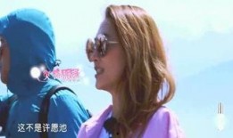 第一娱乐爆料,揭秘娱乐圈最新热点事件